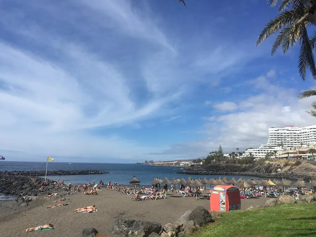 Primera Linea De Mar ! Fantastico Apartamento
